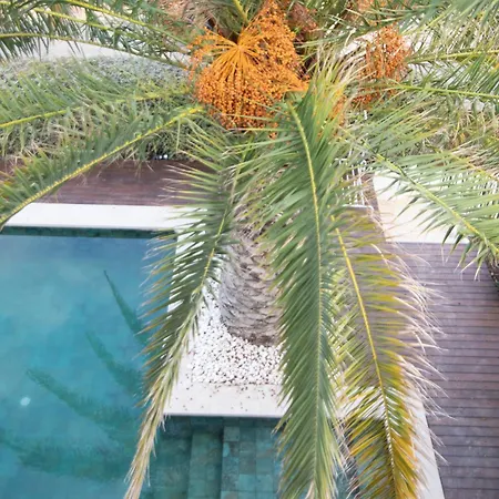 Gardens With Private Pool In Benidorm Villa *